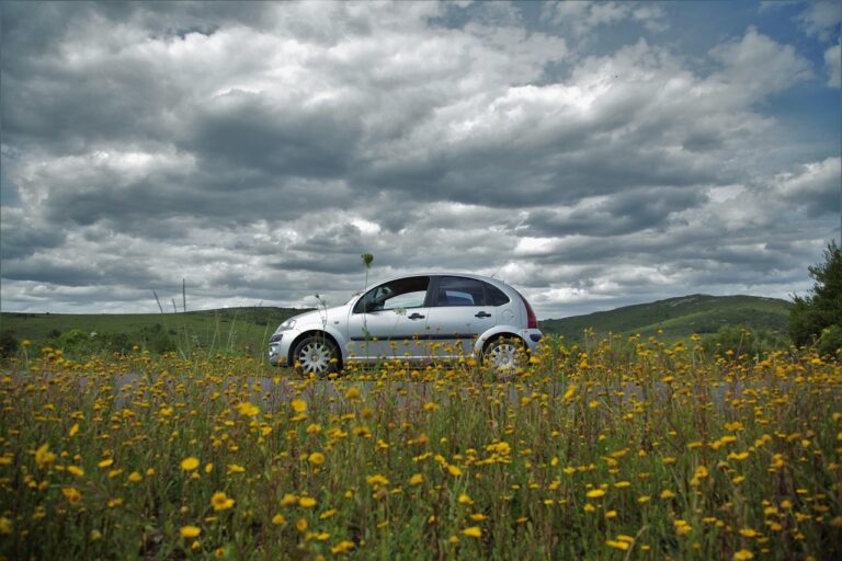 Citroen C3 – Aktuelle Probleme und Rückrufe